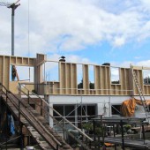 Renovieren & Sanieren